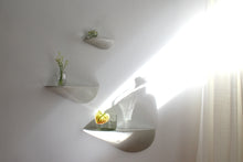 Laden Sie das Bild in den Galerie-Viewer, Wandregale aus Beton im Set 3 Größen - weiss