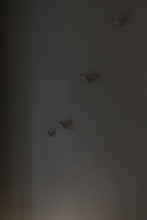 Laden Sie das Bild in den Galerie-Viewer, Kleiner Schwarm Beton - Hellgrau (4 Vögel)